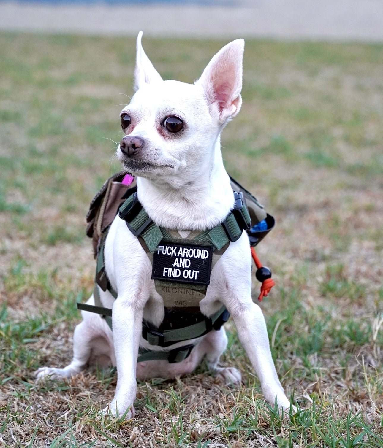 Find Out - Mini Morale Patch