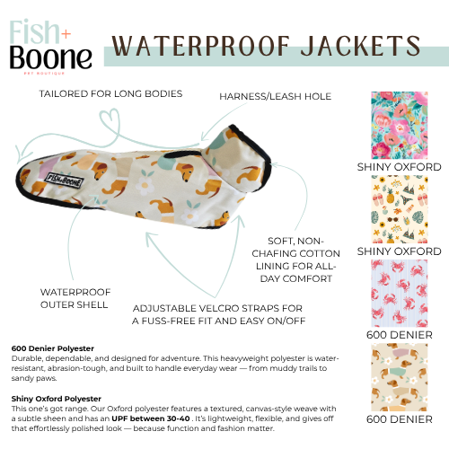 Dachshunds & Daisies Dog Coat