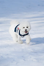 Sailor of My Heart Striped Turtleneck Sweater