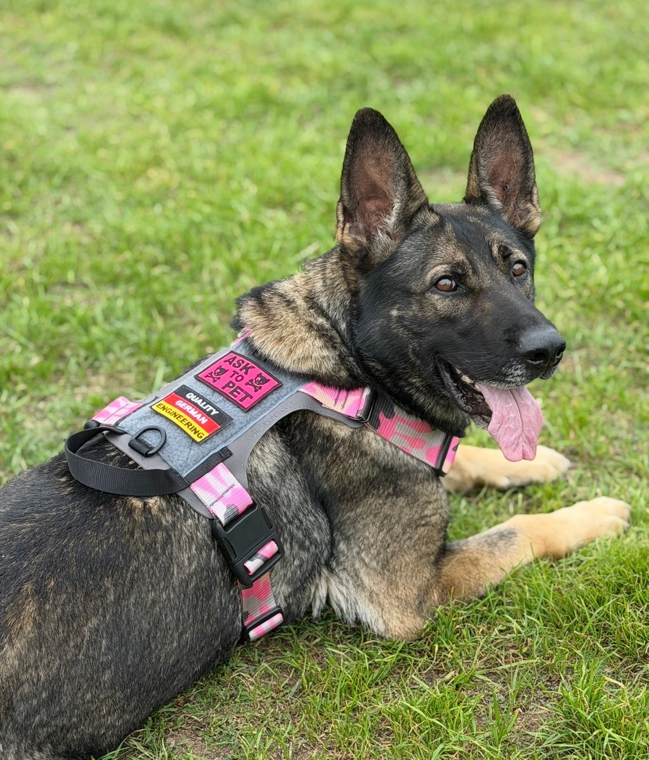 K9R - M1 LightSpeed Harness Large
