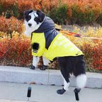 The Dog Face Windproof Waterproof Reflective Pet Cat Dog Jacket