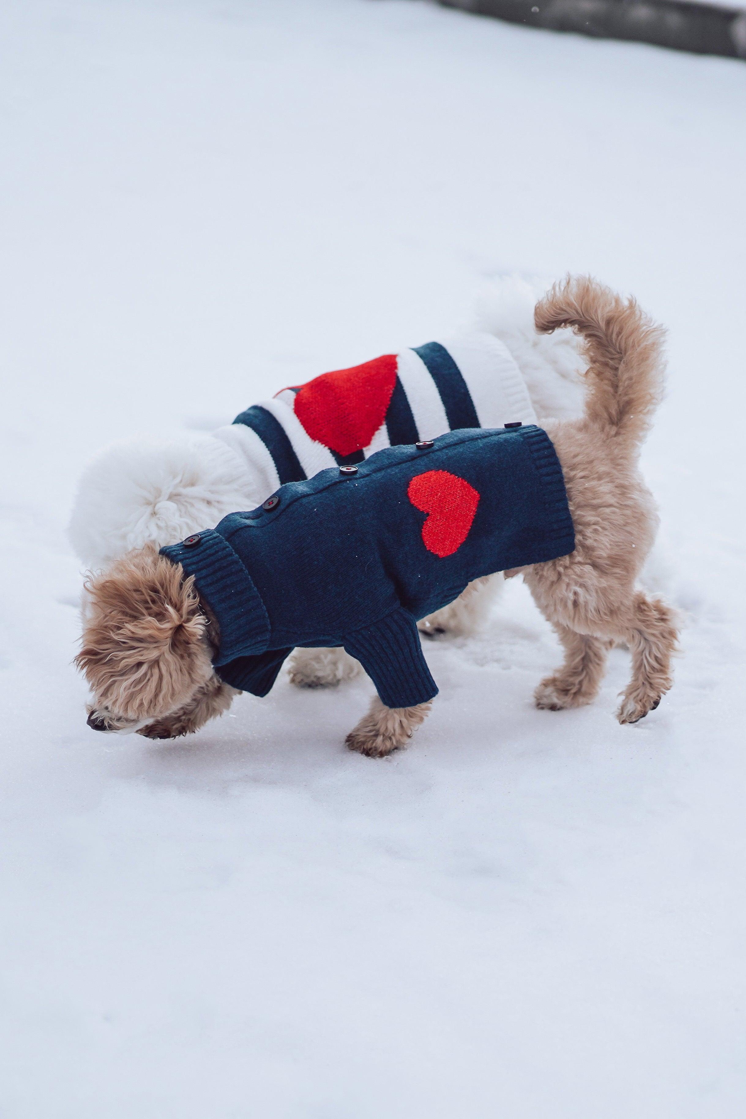 Sailor of My Heart Striped Turtleneck Sweater