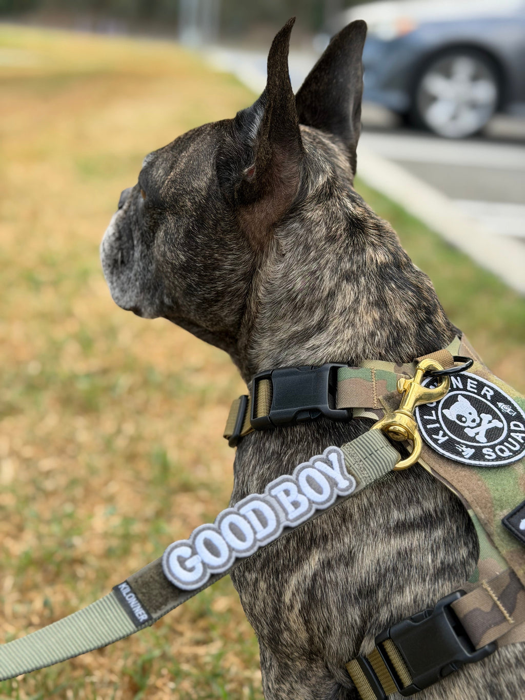 Good Boy Morale Patch