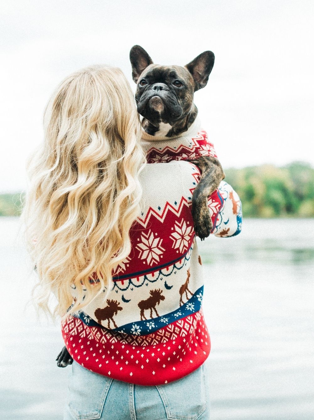 Aspen Sweater (Only Dog & Kid Sizes Left)