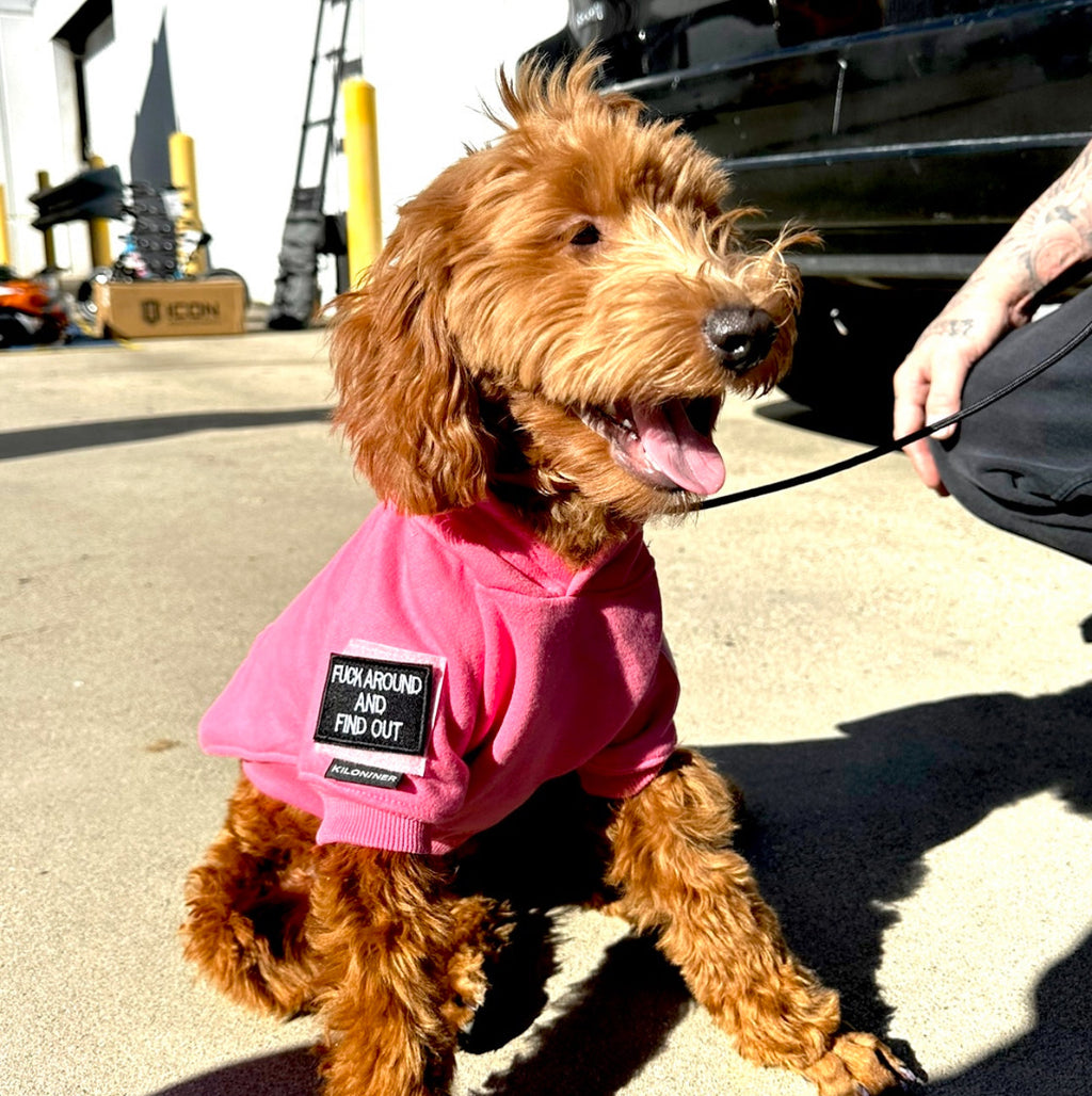 Find Out - Mini Morale Patch