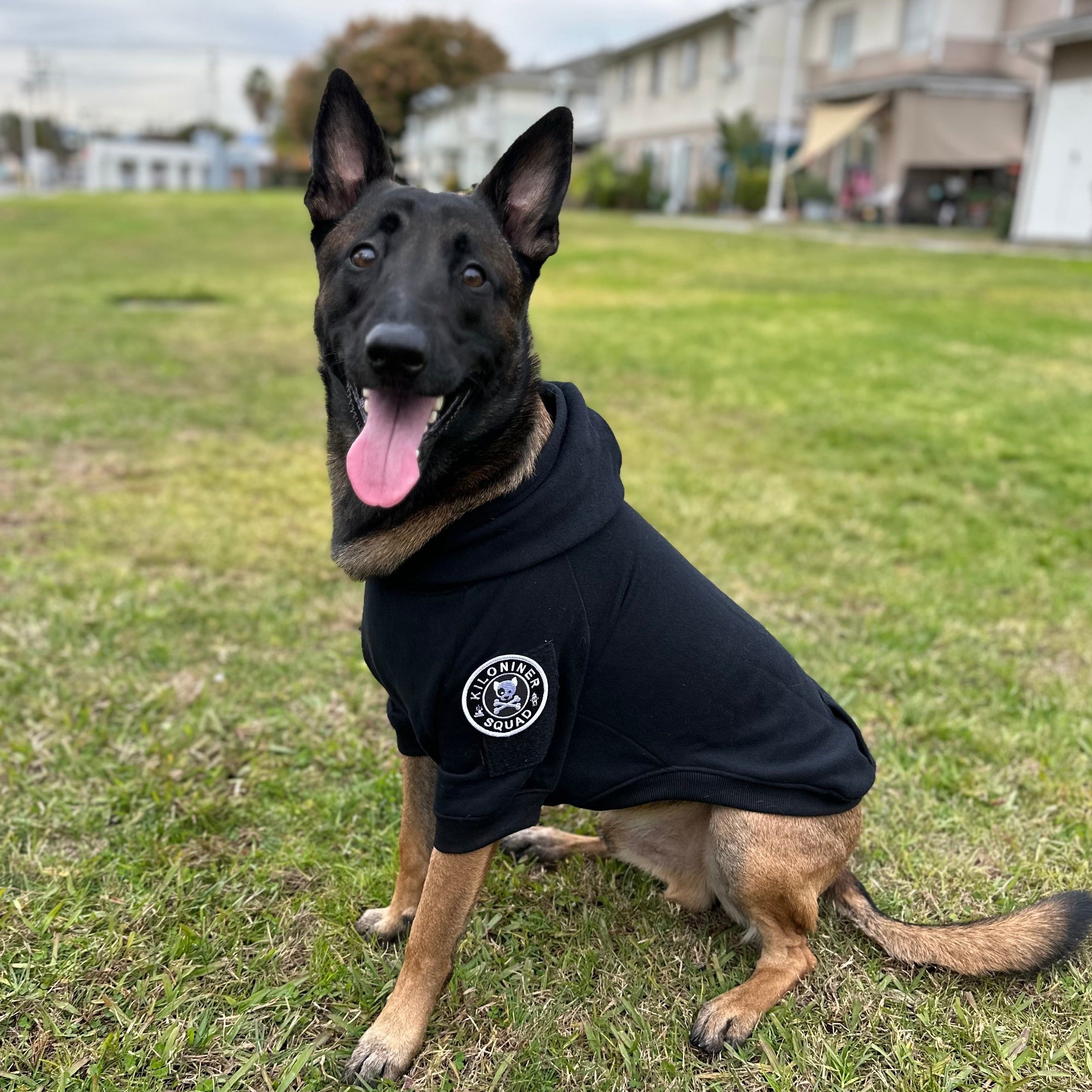 Big Dog Tactical Pull-Over Hoodie