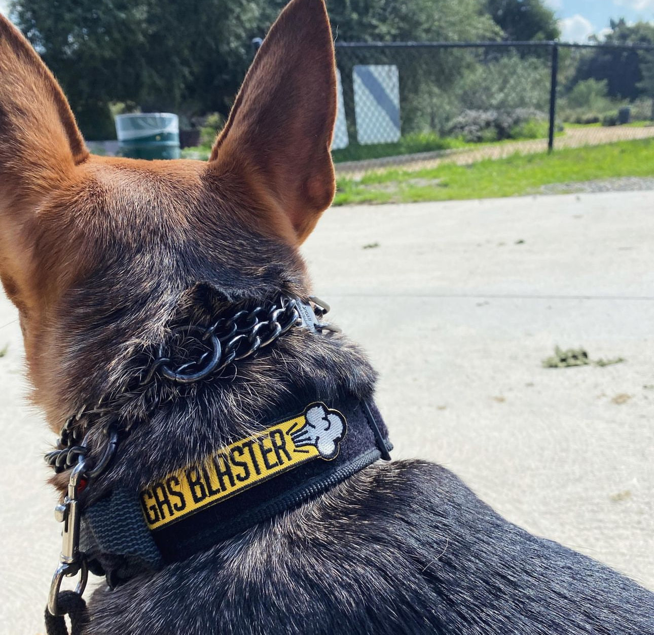 Gas Blaster  - Morale Patch