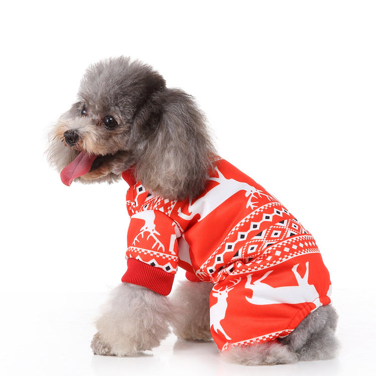 Small dog wearing a red sweater with reindeer patterns on a white background