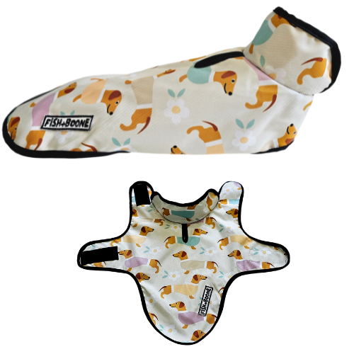 Dachshunds & Daisies Dog Coat
