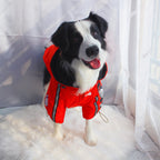 The Dog Face Windproof Waterproof Reflective Pet Cat Dog Jacket