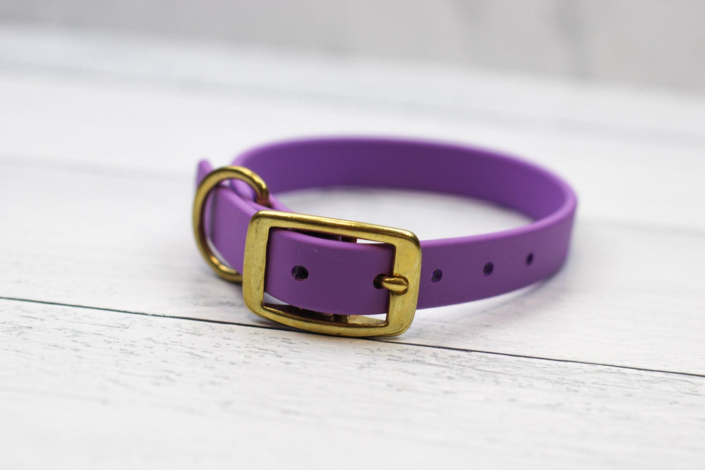 Taro Tango Biothane Collar