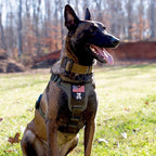 K9R - M1 LightSpeed Harness Large