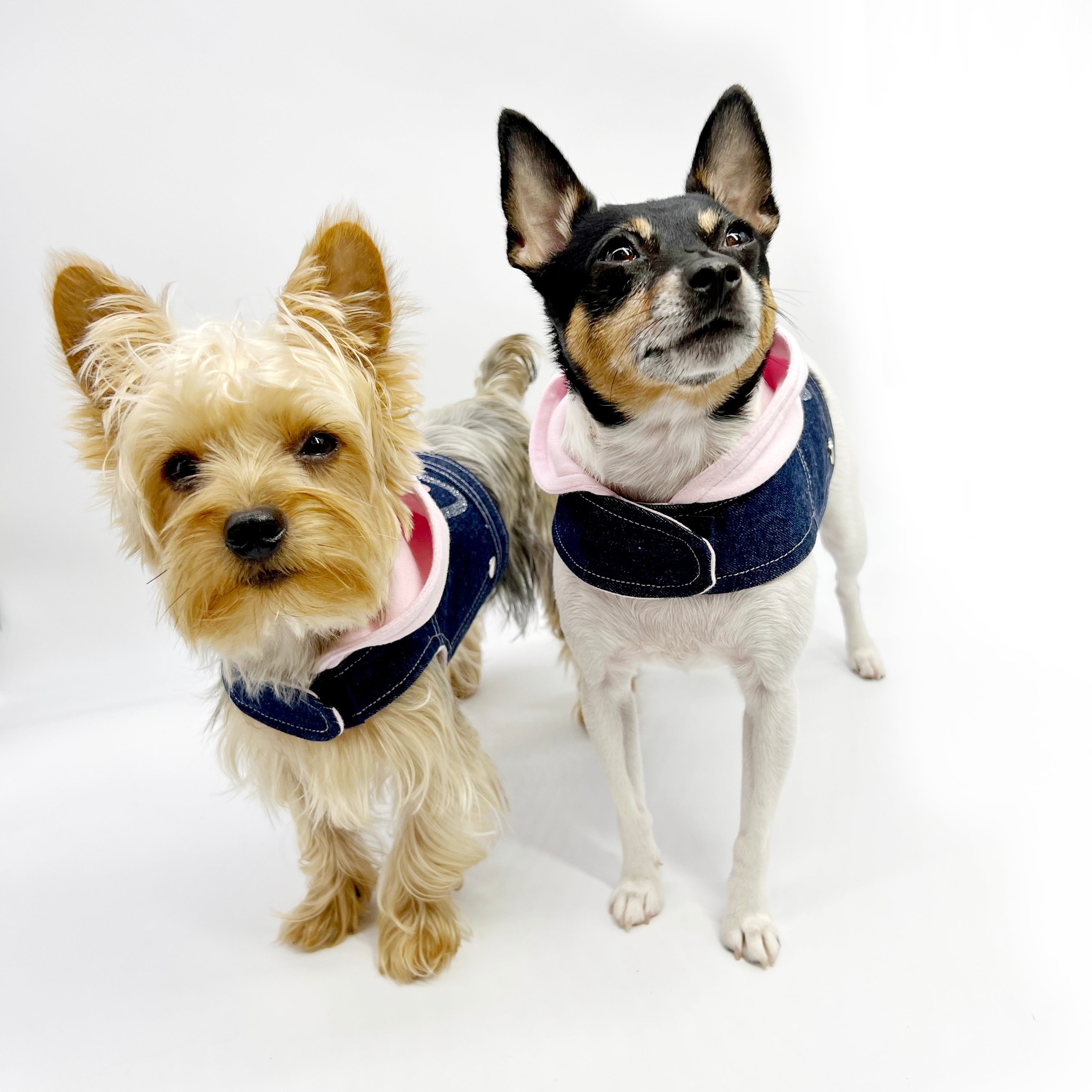 Denim Hoodie "Love" Harness Vest – Pink pet outwears-2