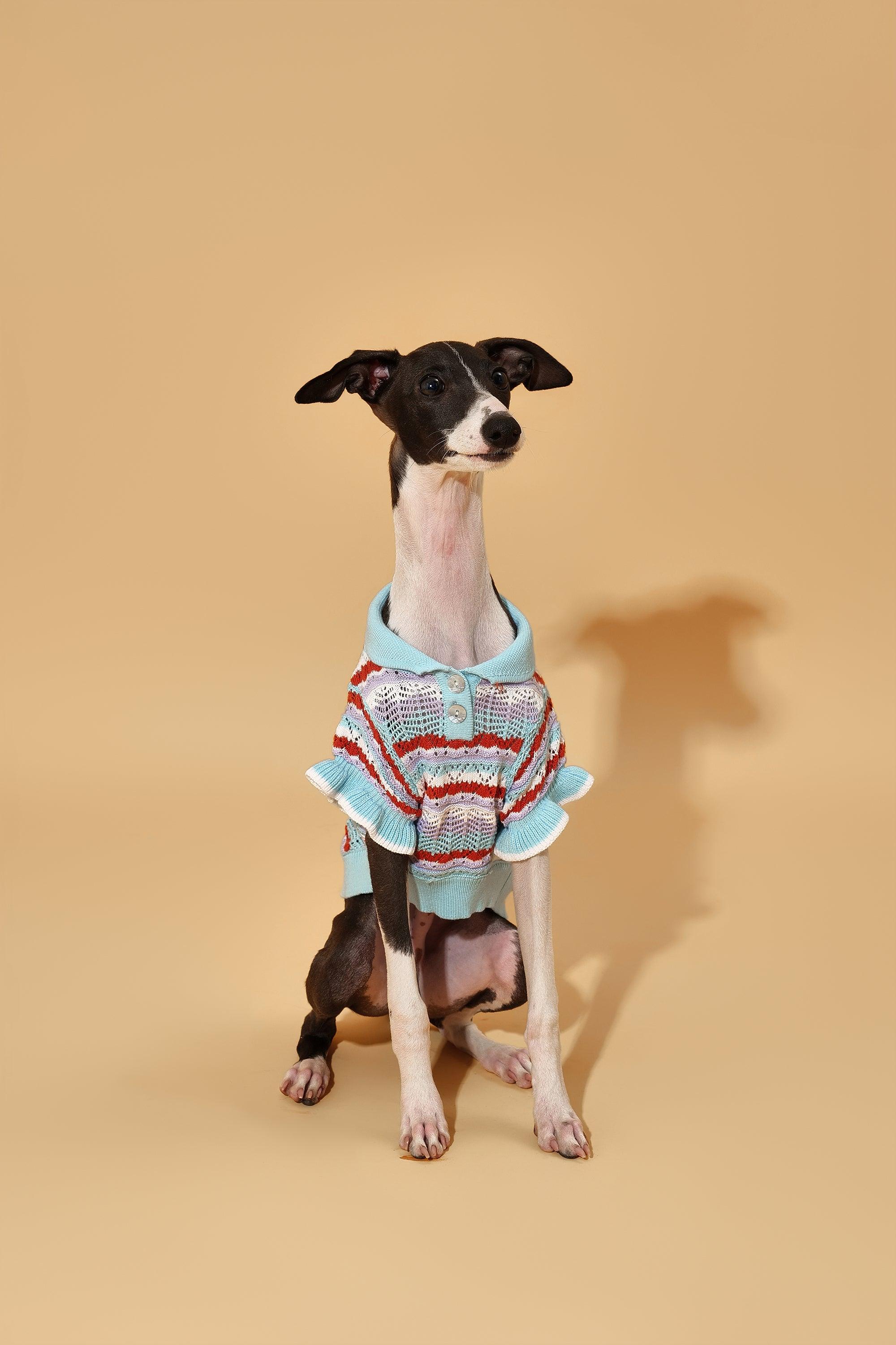 Pet & Me Spring Summer Ocean Blue Ruffle Crochet Short Sleeve Polo Shirt