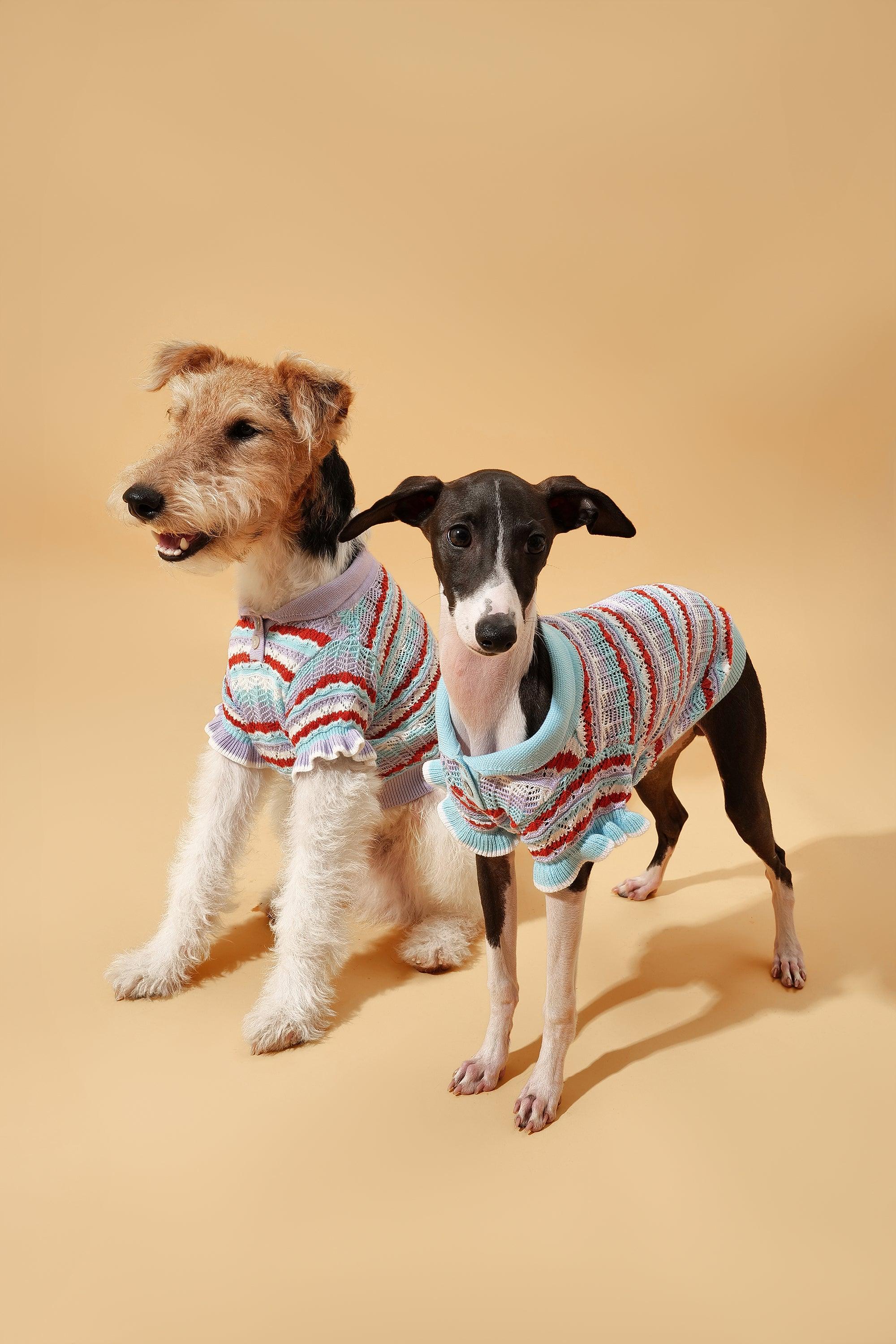 Pet & Me Spring Summer Ocean Blue Ruffle Crochet Short Sleeve Polo Shirt