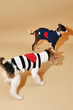 Sailor of My Heart Striped Turtleneck Sweater