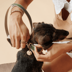 Collar - Vegan Leather - Copenhagen