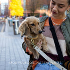 Collar - Vegan Leather - Copenhagen