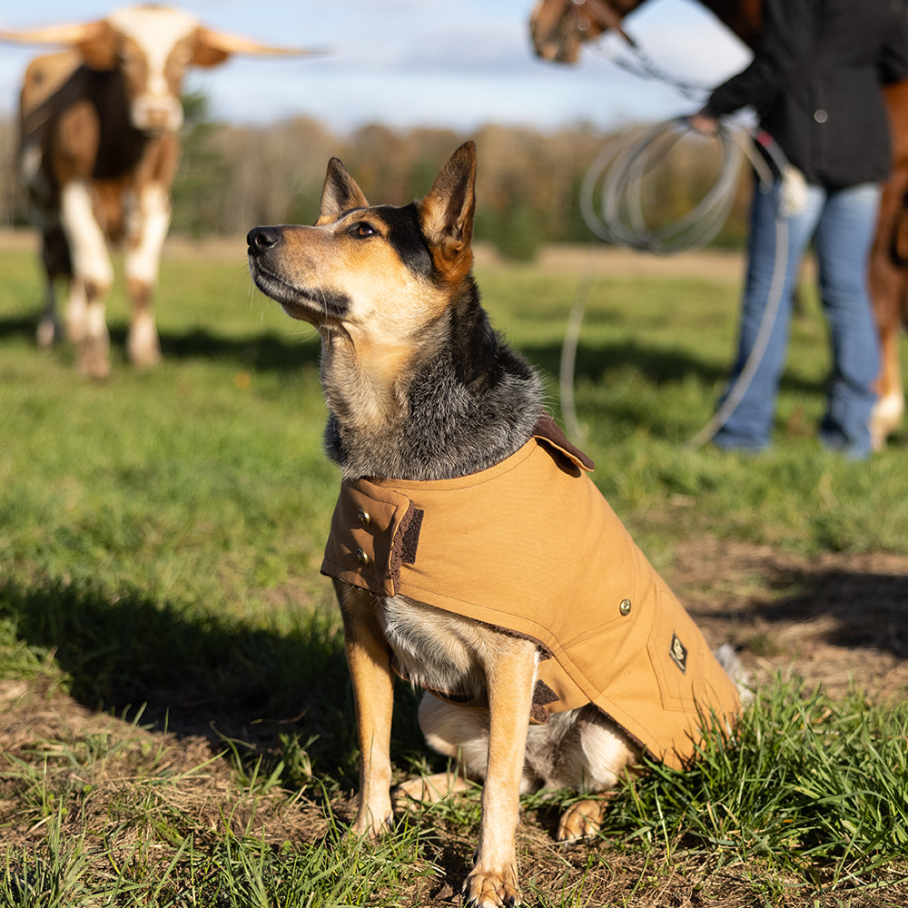 DCNY Canyon Brown Work Dog Coat 100% Cotton Canvas-2