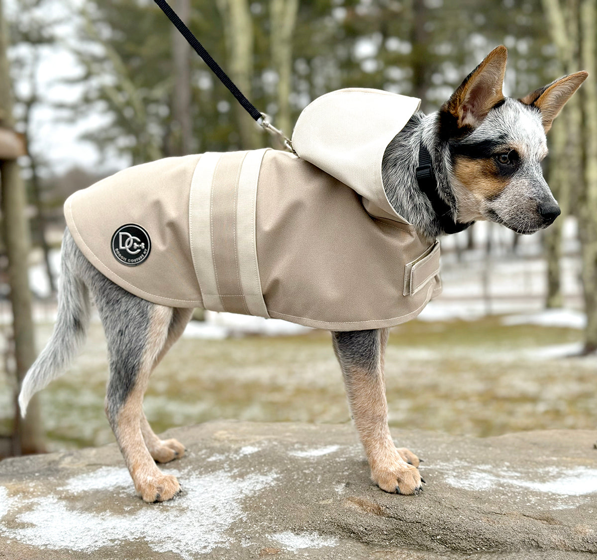 DCNY Sport Luxe Hooded Raincoat Waterproof Dog Coat Size XXS-XL pet clothes-2