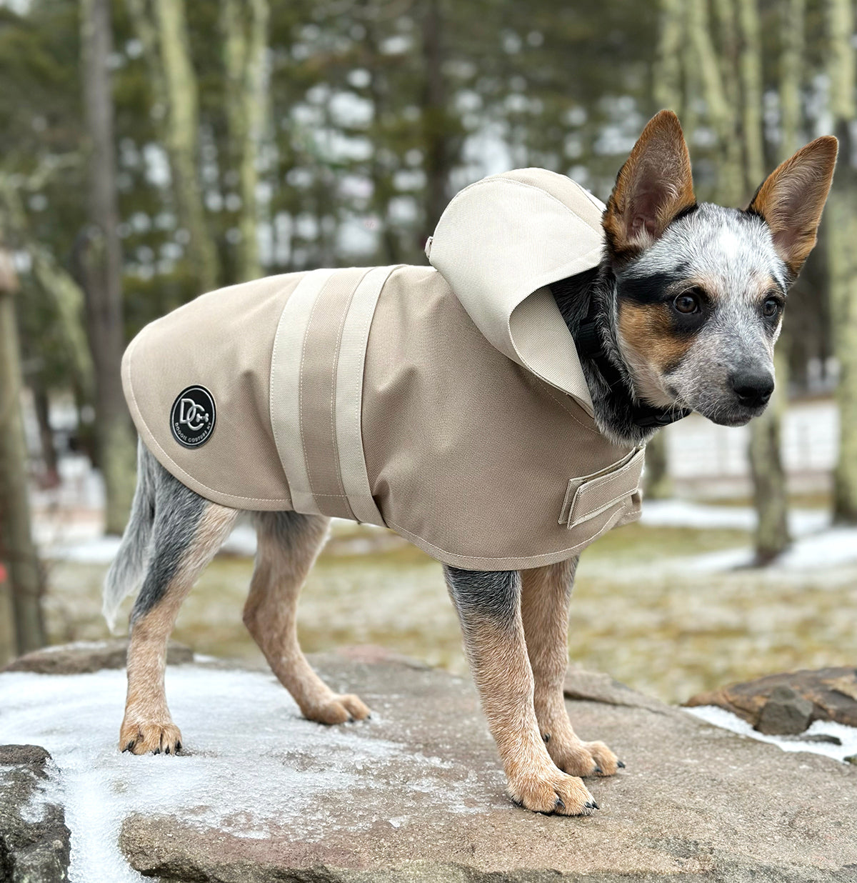 DCNY Sport Luxe Hooded Raincoat Waterproof Dog Coat Size XXS-XL pet clothes-0