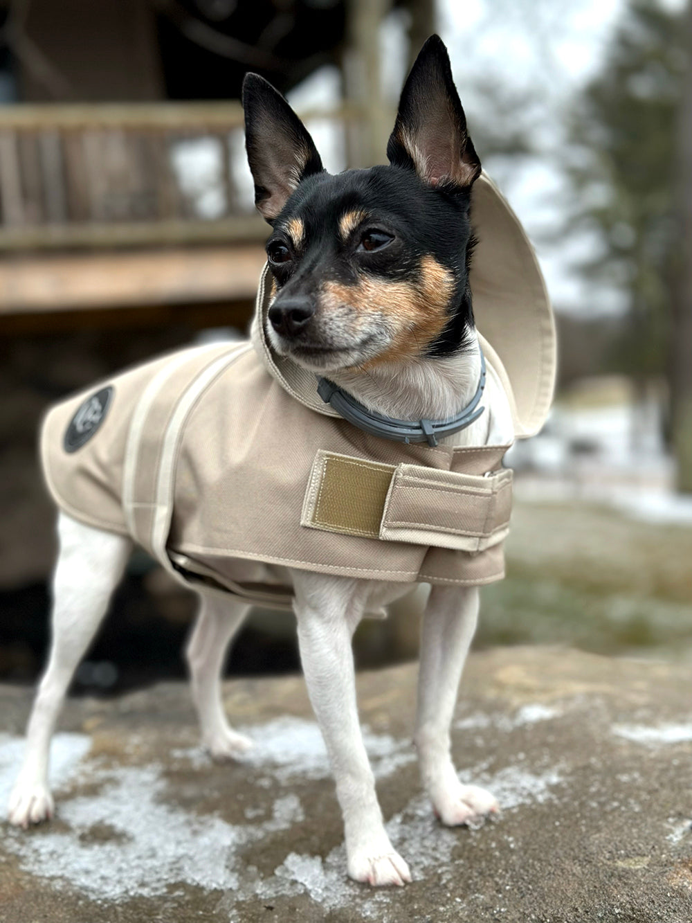 DCNY Sport Luxe Hooded Raincoat Waterproof Dog Coat Size XXS-XL pet clothes-3