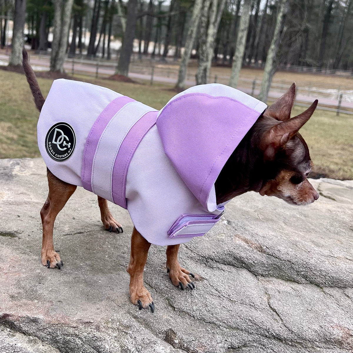 DCNY Sport Luxe Hooded Raincoat Waterproof Dog Coat Size XXS-XL pet clothes-1
