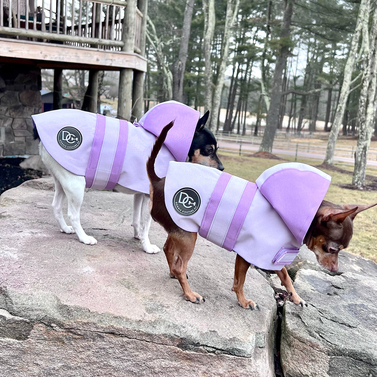 DCNY Sport Luxe Hooded Raincoat Waterproof Dog Coat Size XXS-XL pet clothes-4