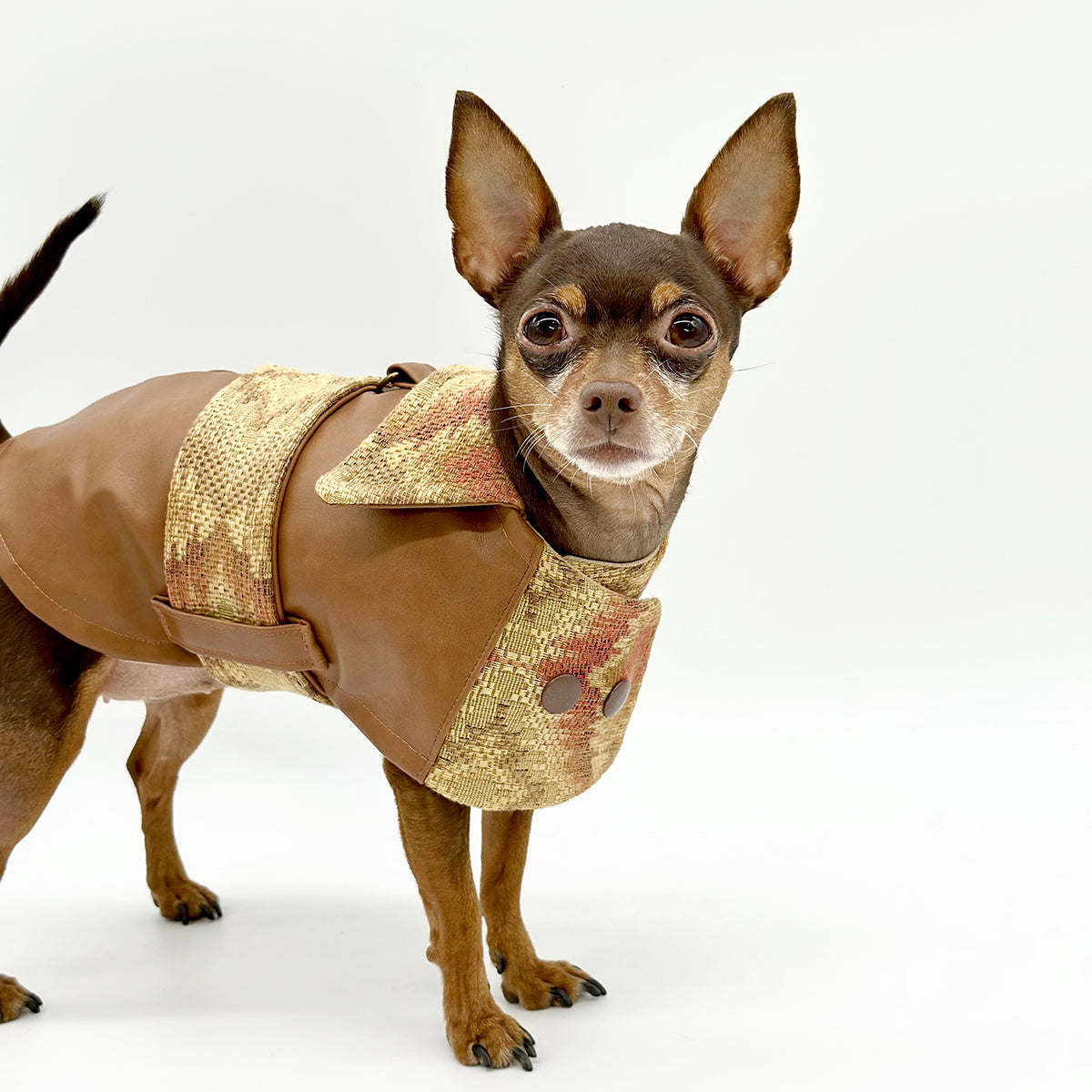 Vegan Leather Autumn Dog Jacket - Limited Edition Canyon Cognac Coat-0