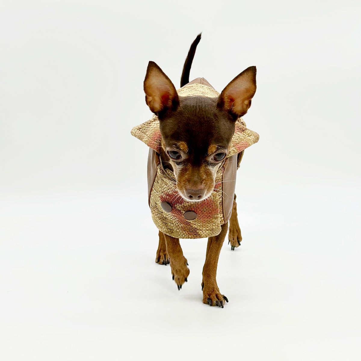 Vegan Leather Autumn Dog Jacket - Limited Edition Canyon Cognac Coat-1