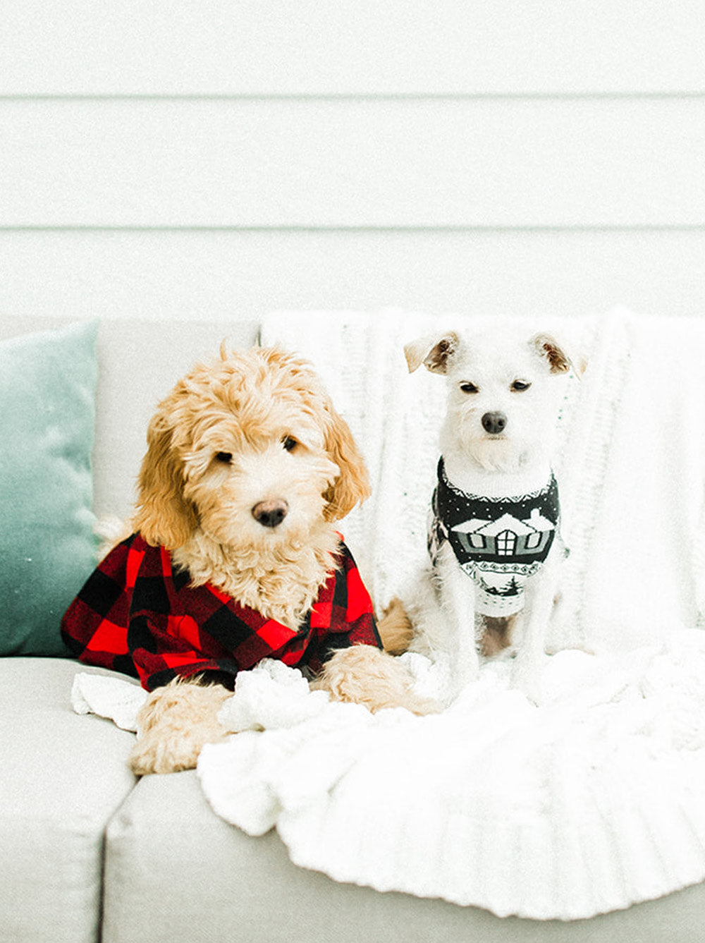 Cabin Sweater (Dog & Kid Sizes Left)