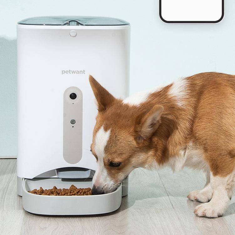 Smartpaws Automatic Pet Feeder - Intelligent Food Monitoring And Remote Control