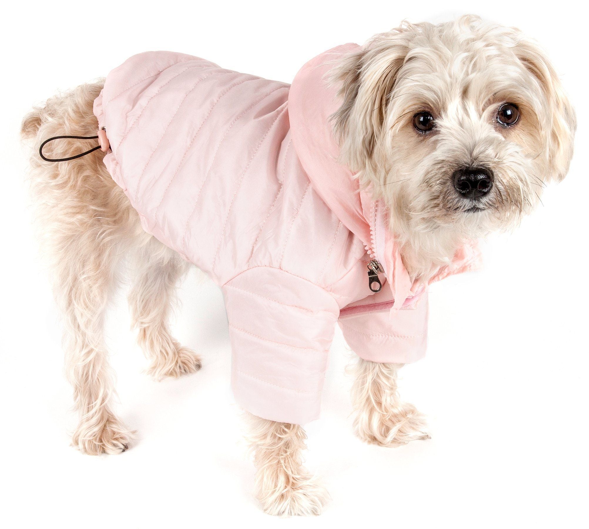 Pet Life ® Lightweight Adjustable and Collapsible 'Sporty Avalanche' Dog Coat w/ Pop-out Zippered Hood